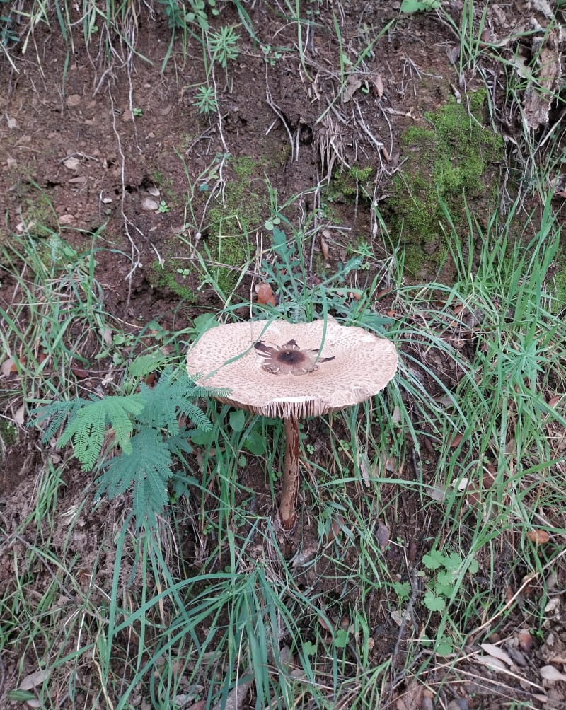 Promenade vers l'Argens - Le Muy