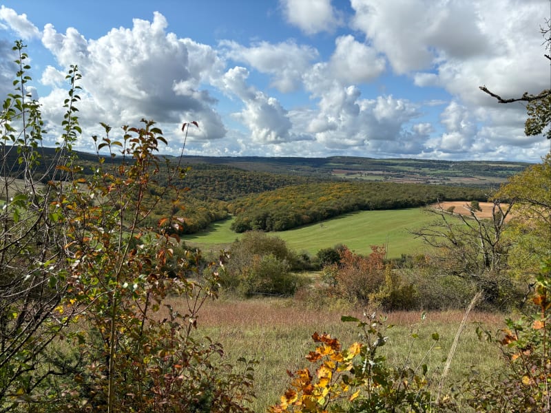Boucle Aubaine- Crêpey - Bécoup - Aubaine