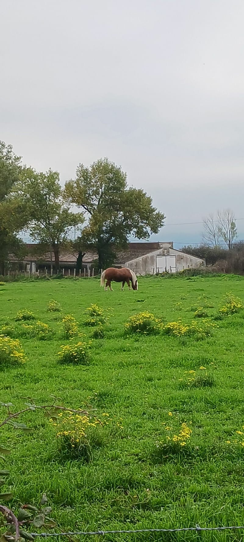 Balade en campagne - Beauvallon