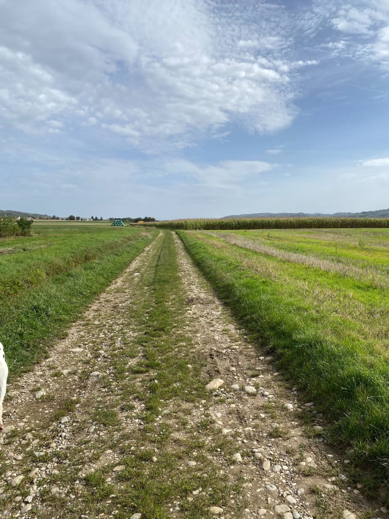Tour dans les champs à Semons, par la Vie Charrette - Porte-des-Bonnevaux