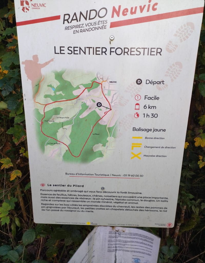 Le sentier forestier de Neuvic - Neuvic