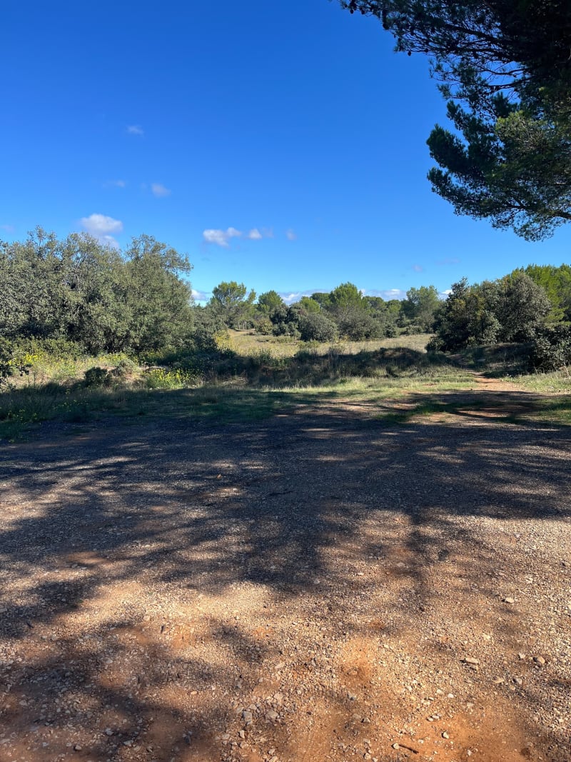 4 Thermes de Saint Cannat - Saint-Cannat