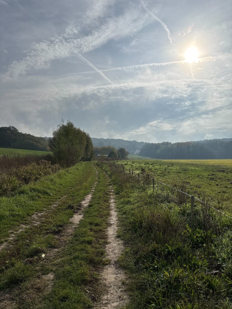 Echappée en forêt par Haras de Bazemont - Aubergenville