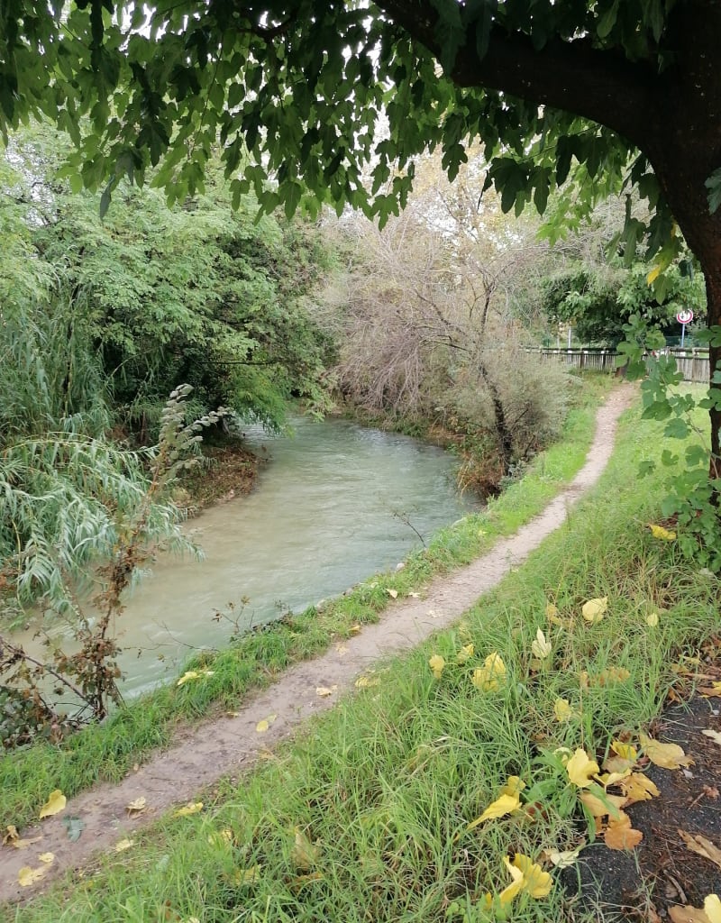 Les parcs de Cagne-sur-Mer - Cagnes-sur-Mer