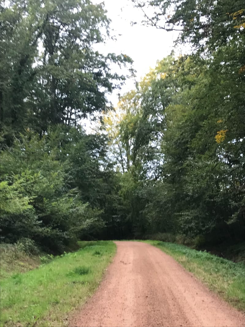 Bois de Balaty Montmazot - Ars-les-Favets