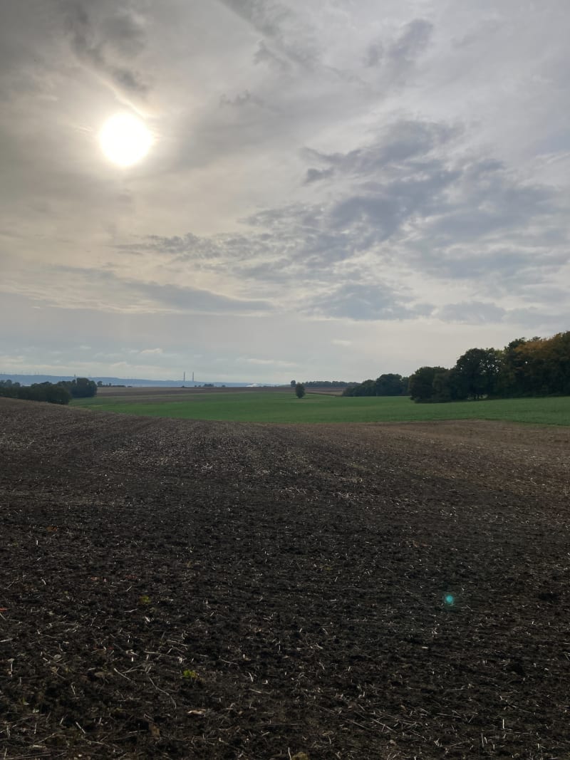 Promenade digestive à Juziers par le Bois des Brières - Juziers
