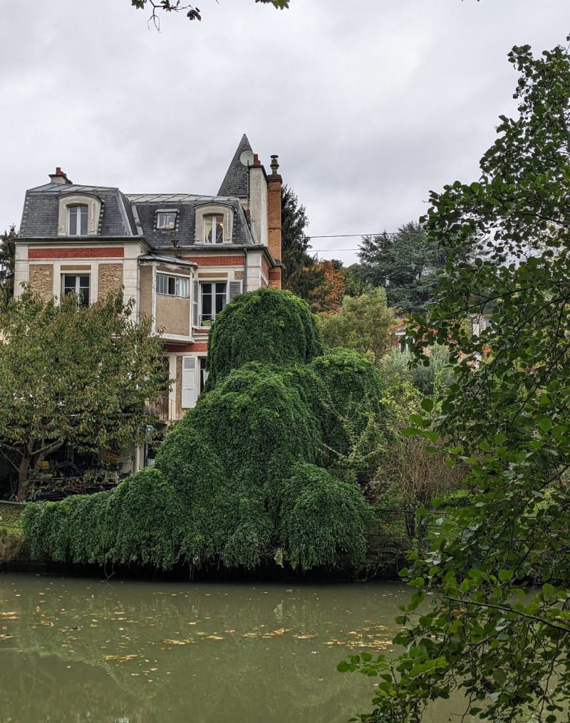 Le long de l'Yerres et parc Caillebotte - Yerres