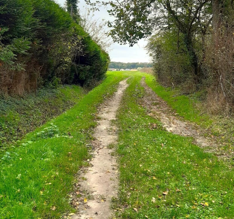 Arpenty, Courson et la Charmoise - Bruyères-le-Châtel