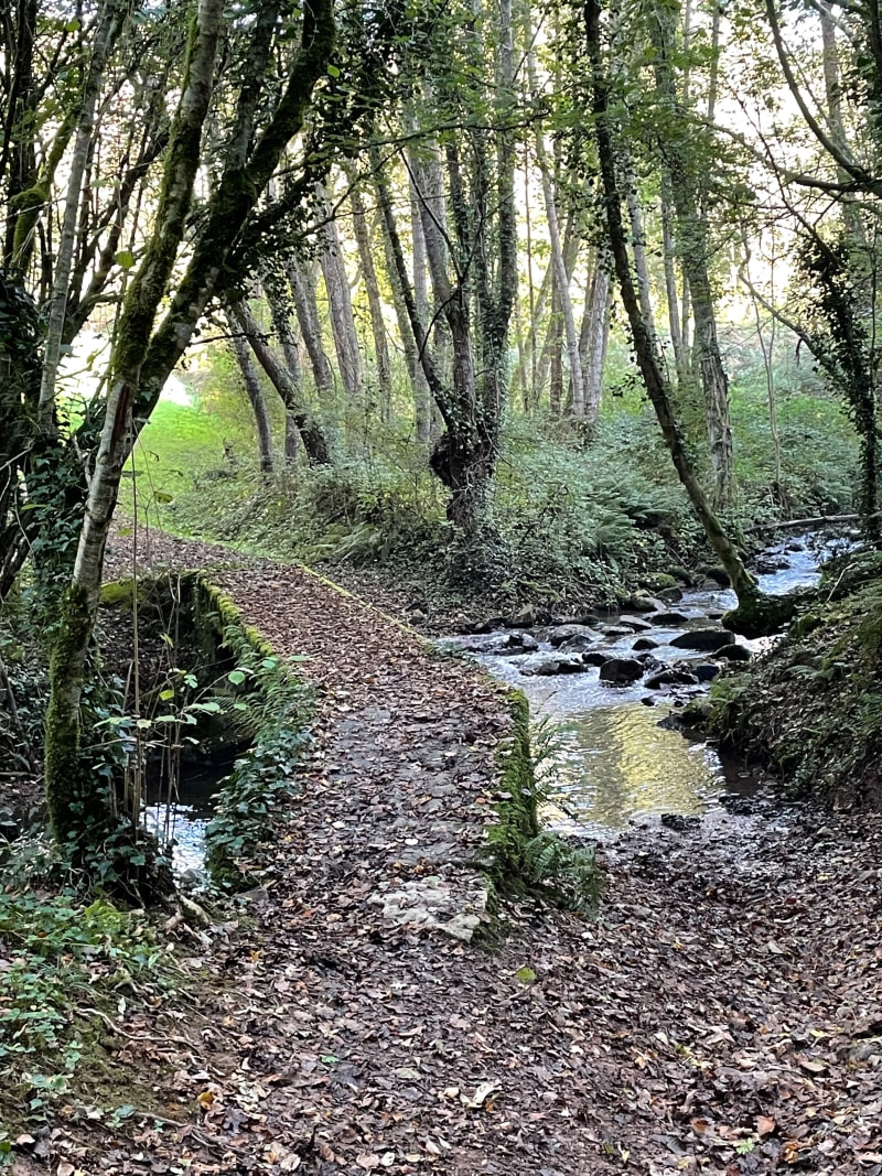 Pont de Pallu - Nanteuil