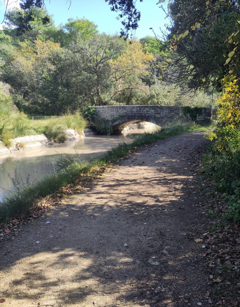 La Sorgue à Fontaine-de-Vaucluse - Saumane-de-Vaucluse