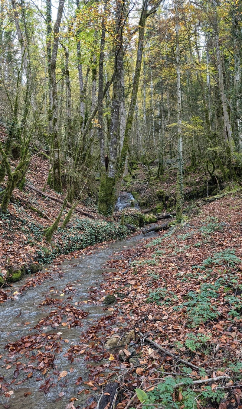 Surmontant depuis Chevry, par Ranchette - Saint-Claude
