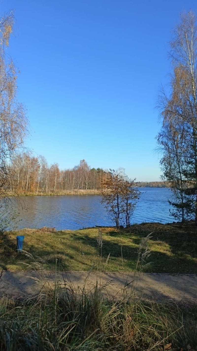 Paprocany jezioro Tychy dookoła - Tychy