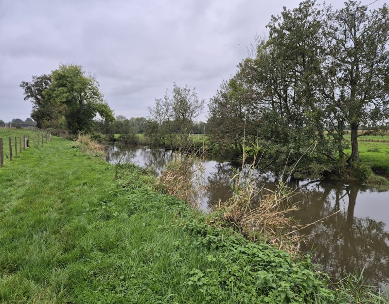 Circuit des ragondins à Bernay-Neuvy-en-Champagne - Bernay-Neuvy-en-Champagne