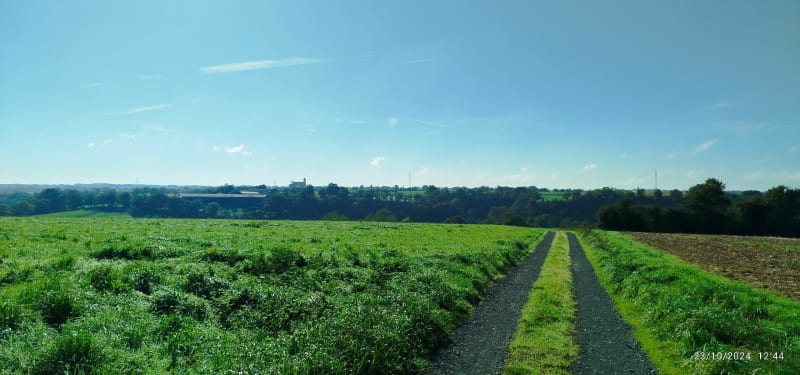 Balade entre l'étang de Saint-Macaire et Roussay - Sèvremoine