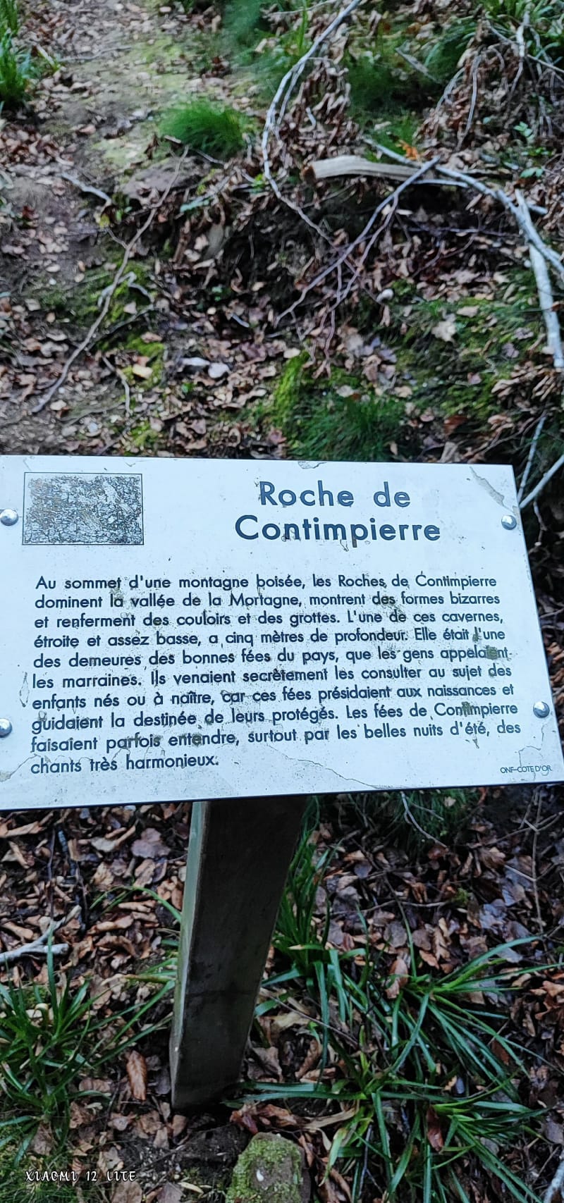 Circuit des Roches de Contimpierre - Domfaing