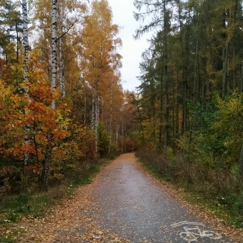 Okolice Pierwoszyna - Pierwoszyno