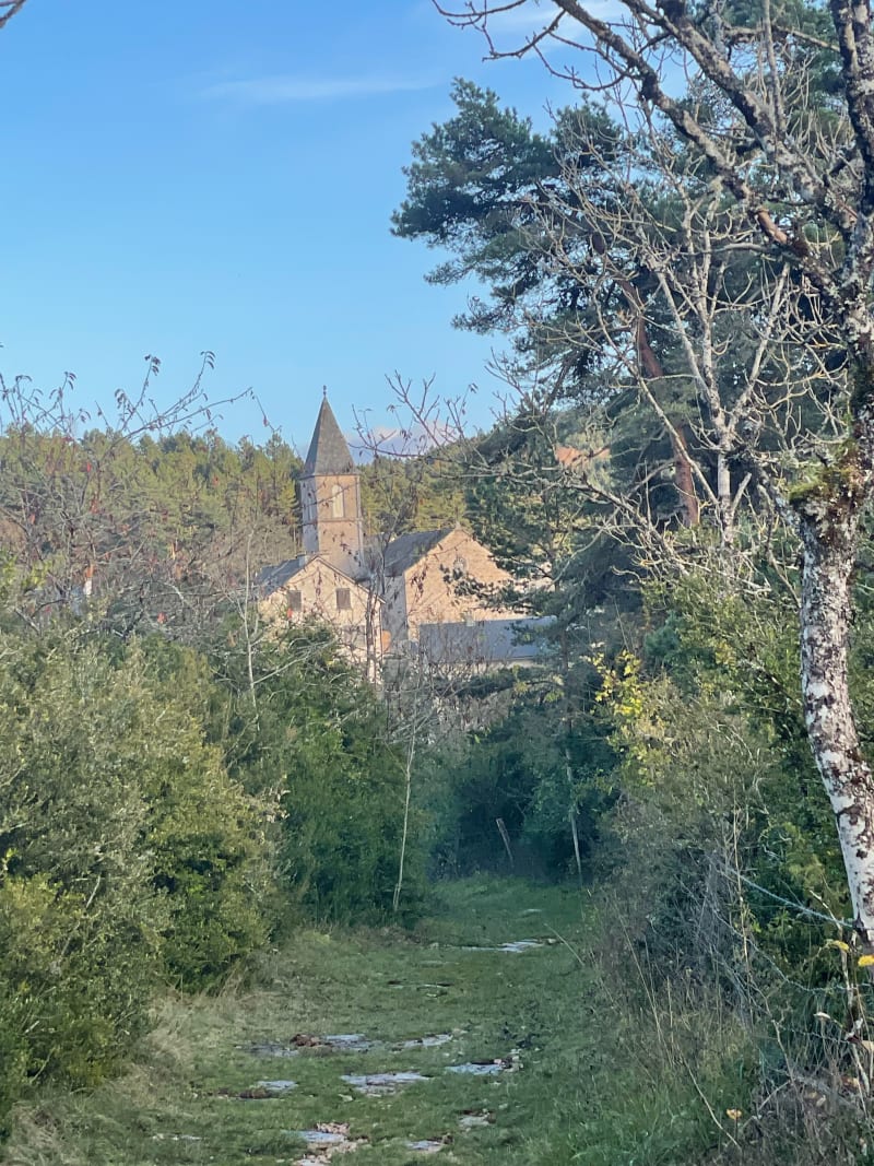 Balade familiale entre pins et buisà La Tieule - La Tieule