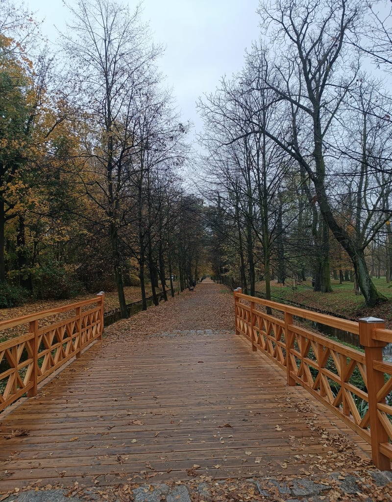 Park brochowski z Iwin - Iwin