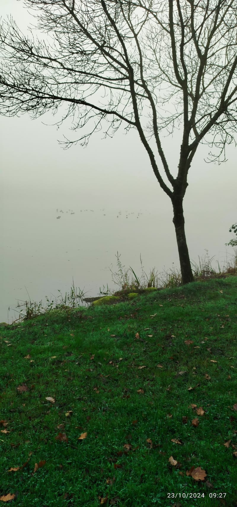 Balade autour du parc Marie Claire Coiffard - Sèvremoine