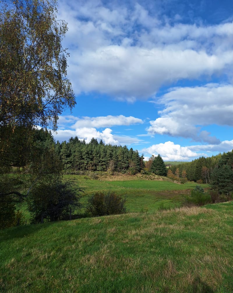 Balade vers Brangeresse - Grezes