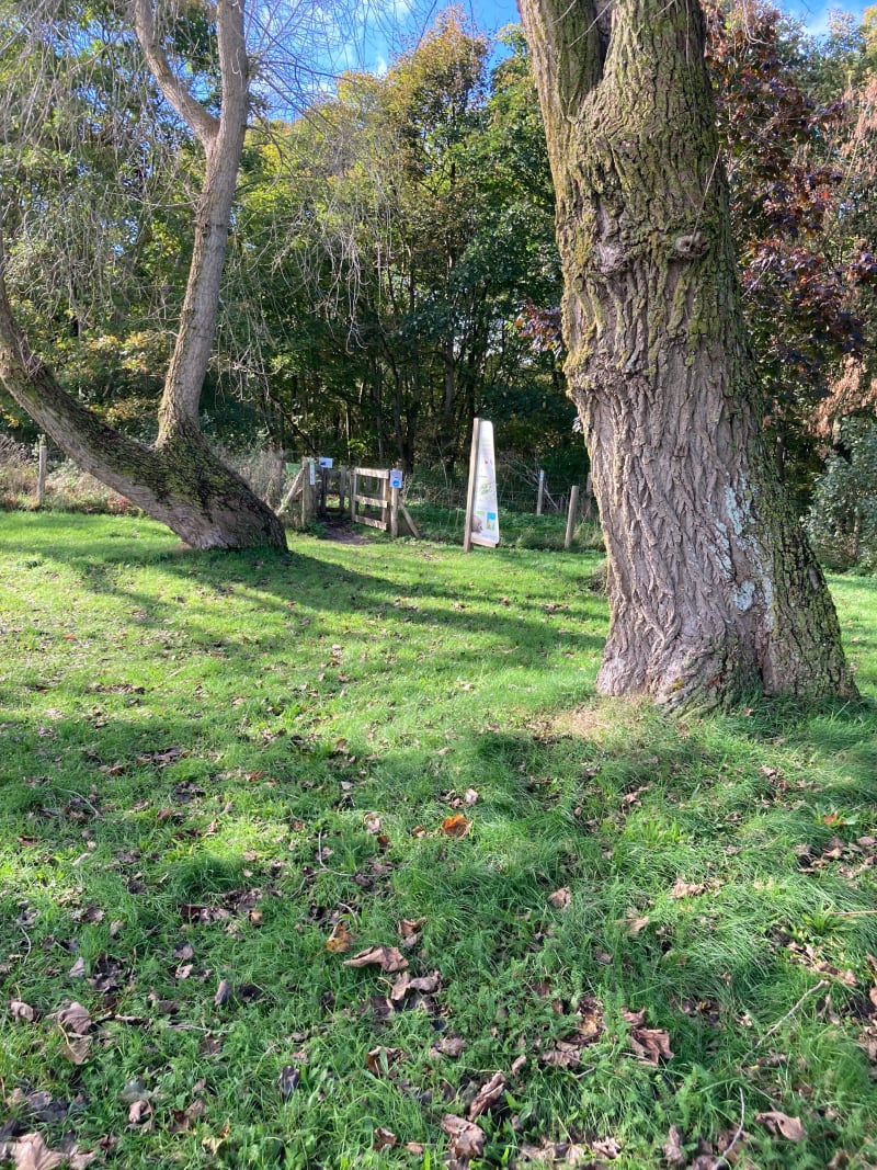 Bois du Fort Vert - Marck