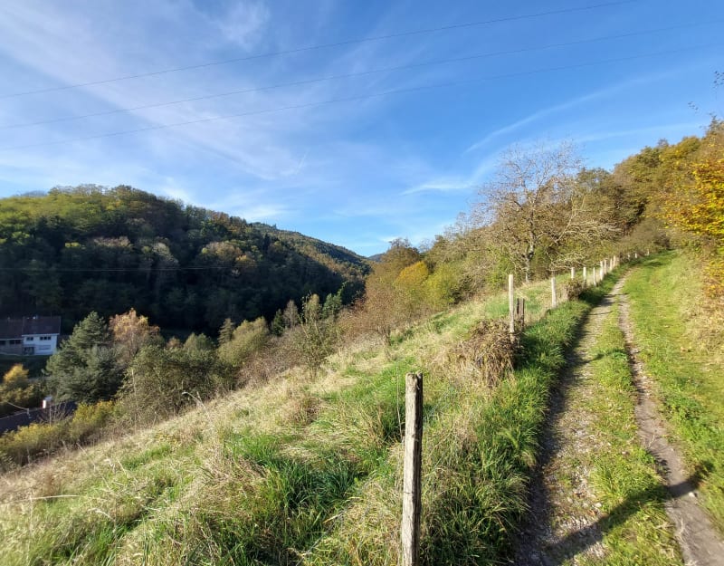 Au dessus de Bourbach-le-bas - Bourbach-le-Bas