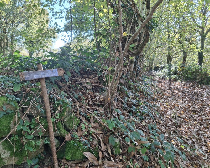 Bois de Toulx - Toulx-Sainte-Croix