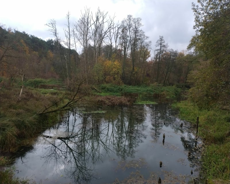Wzdłuż rzeki - Sierpc