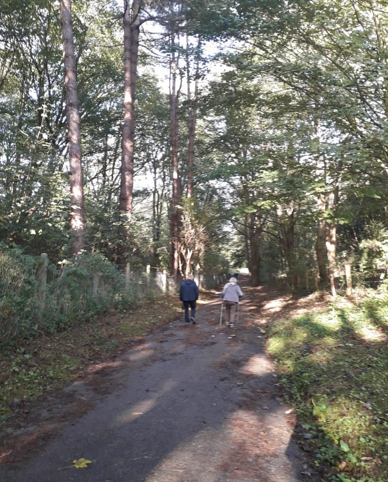 Sassetot le Mauconduit aux petites dalles puis St Pierre - Sassetot-le-Mauconduit