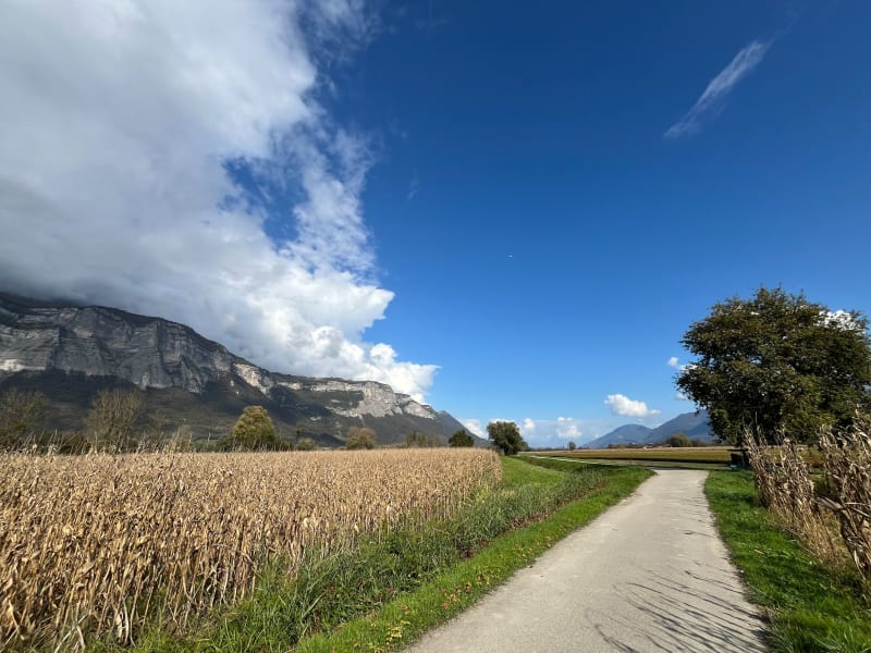 Balade dans les champs au sud de Montfort - Crolles