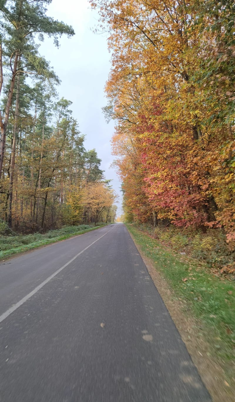 Szosowa pętla w okolicach Oławy - Oława