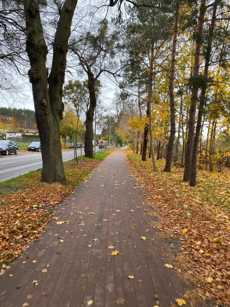 Wejherowo - Bolszewo, jesienny przejazd - Wejherowo