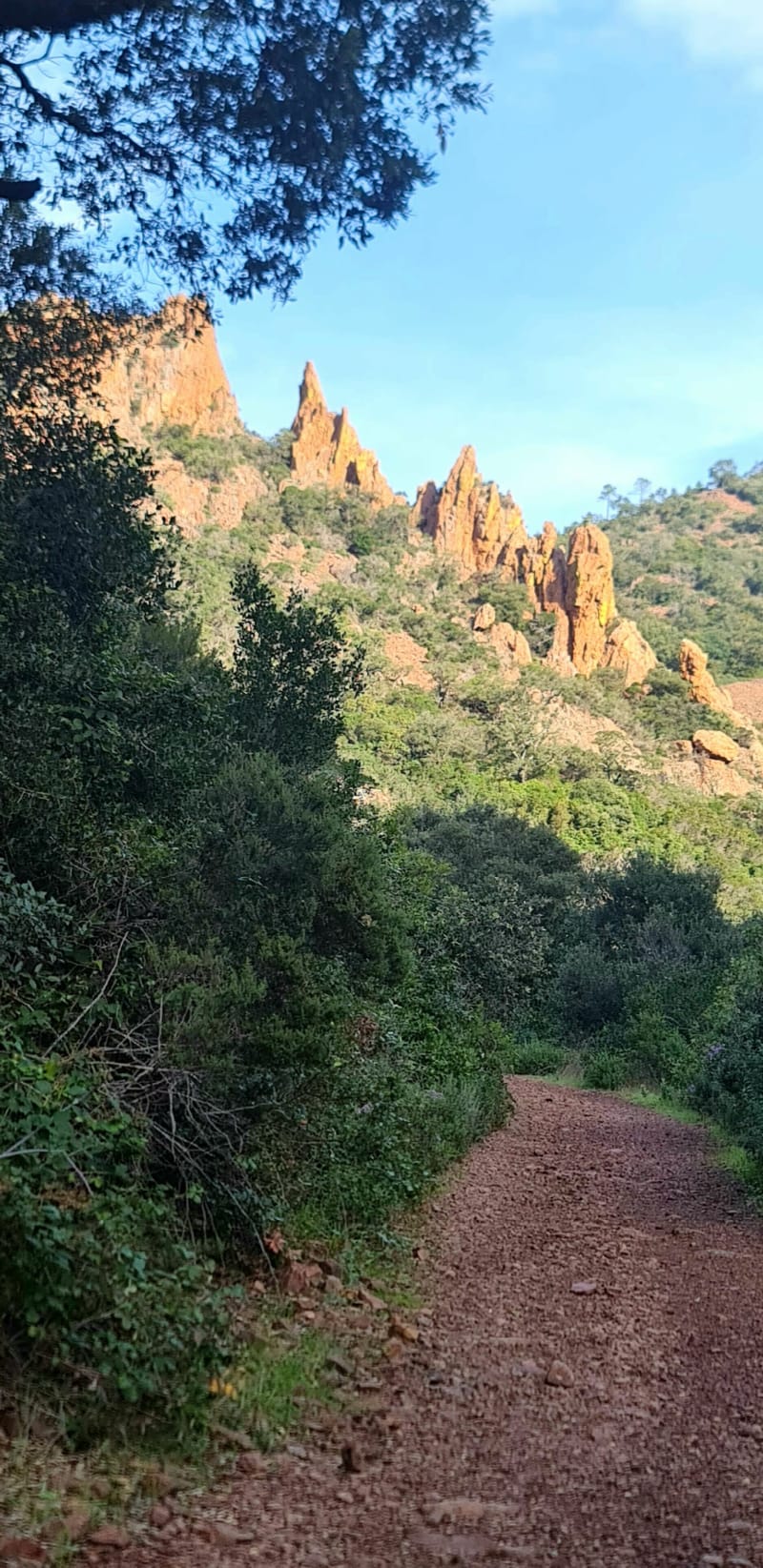 Balade du côté du "Perthus", par le Col du Mistral - Saint-Raphaël