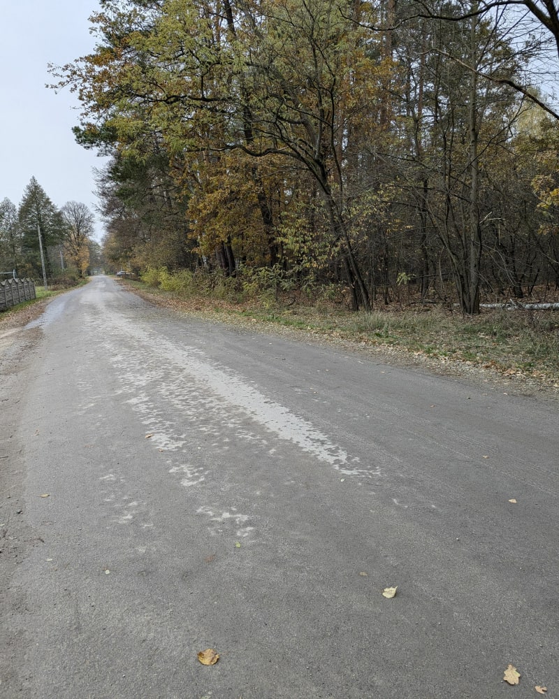 Lekki sprint - Pysznica