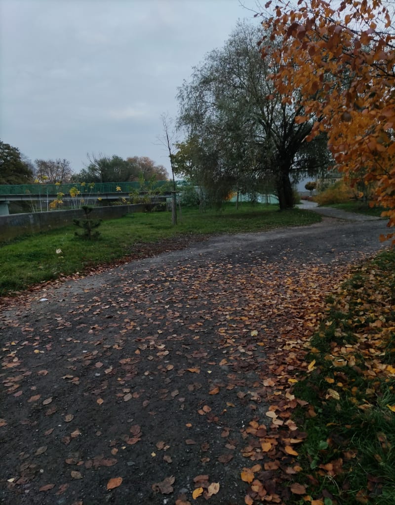 Dzielnica Ogrody w Kaliszu - Kalisz
