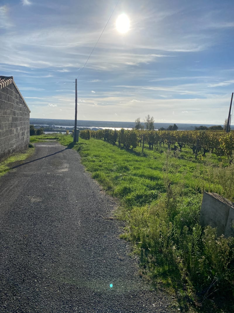 L'estuaire Garonne - Dordogne - Saint-Seurin-de-Bourg