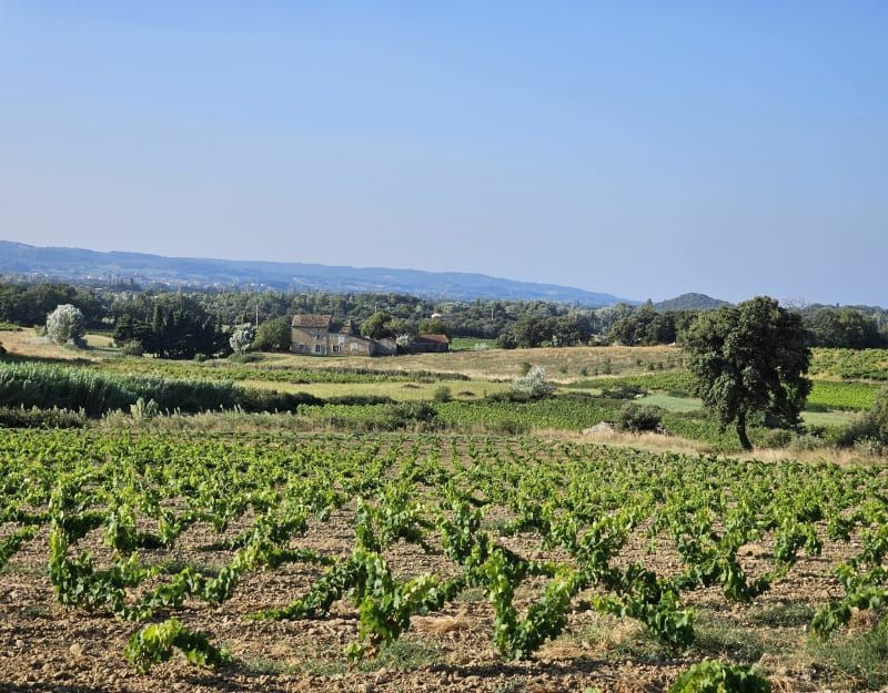 Balade tranquille autour du Mont Joli - Bollène