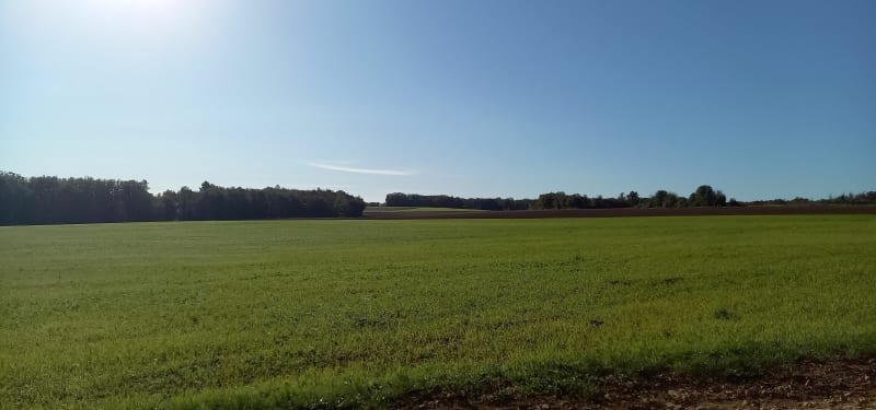 Promenade depuis Chênecière - Saint-Marc-sur-Seine