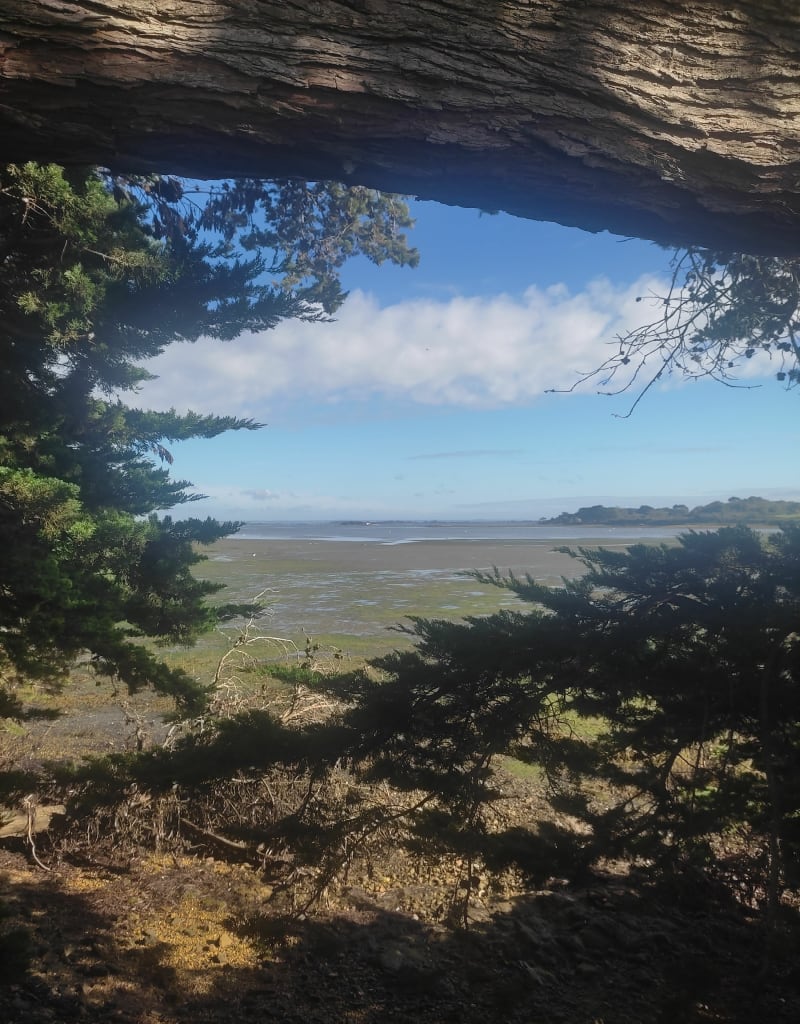 Entre terre et mer - Sarzeau