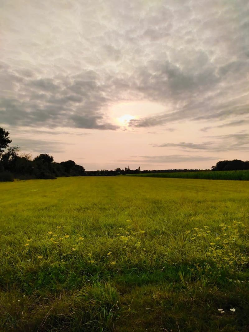 Balade dans les champs autour de Sorigny - Sorigny