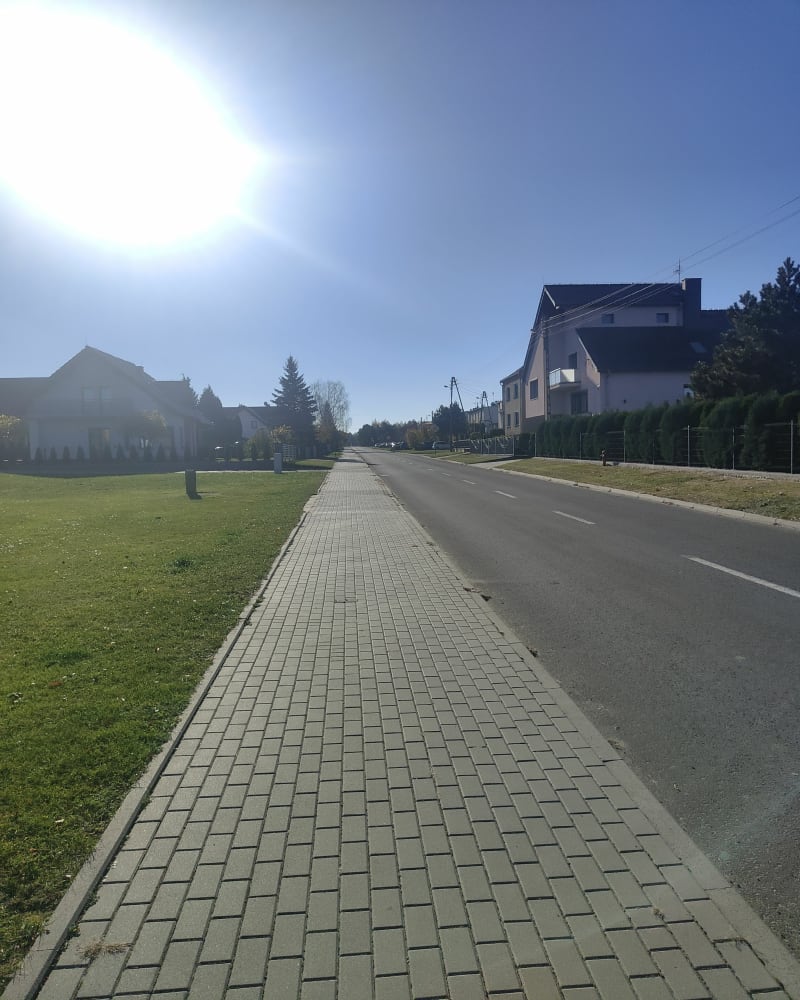 Trasa przez leśne wąwozy w Oleśnie - Olesno