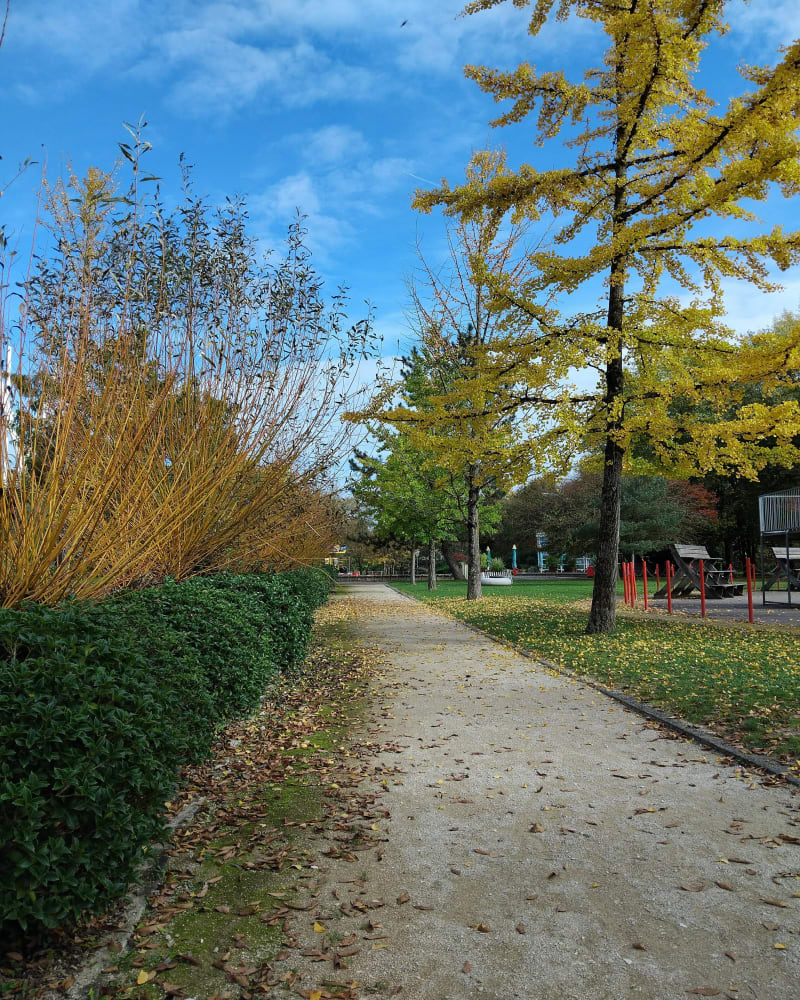 Au bord du Canal du Haut Rhin - Montbéliard