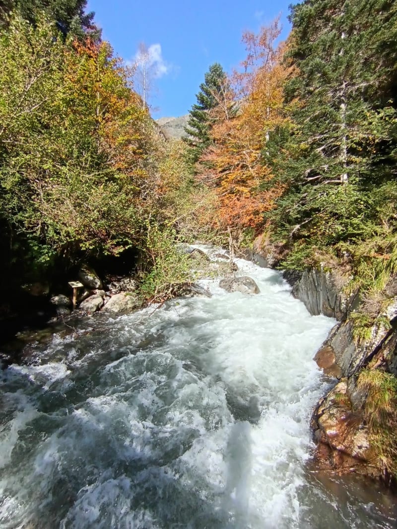 Chemin des buis Aragnouet - Aragnouet