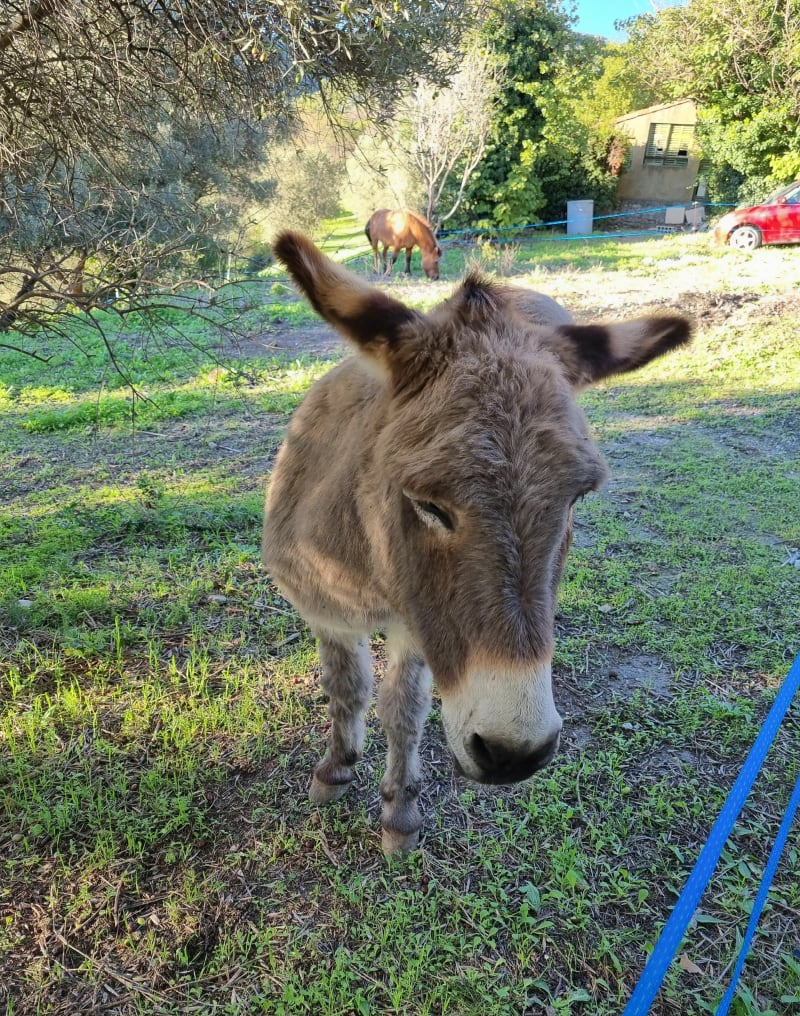Randonnée à la Bastide Neuve au départ de la Treille - Marseille