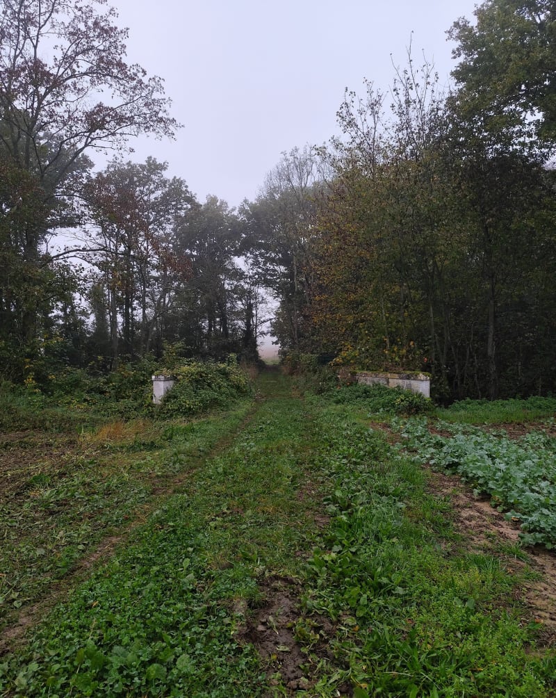 Balade autour de Bréon - Argentières