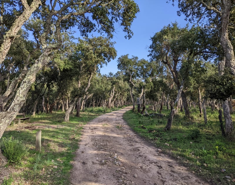 Petite boucle sur le sentier du Myrte - Pietrosella