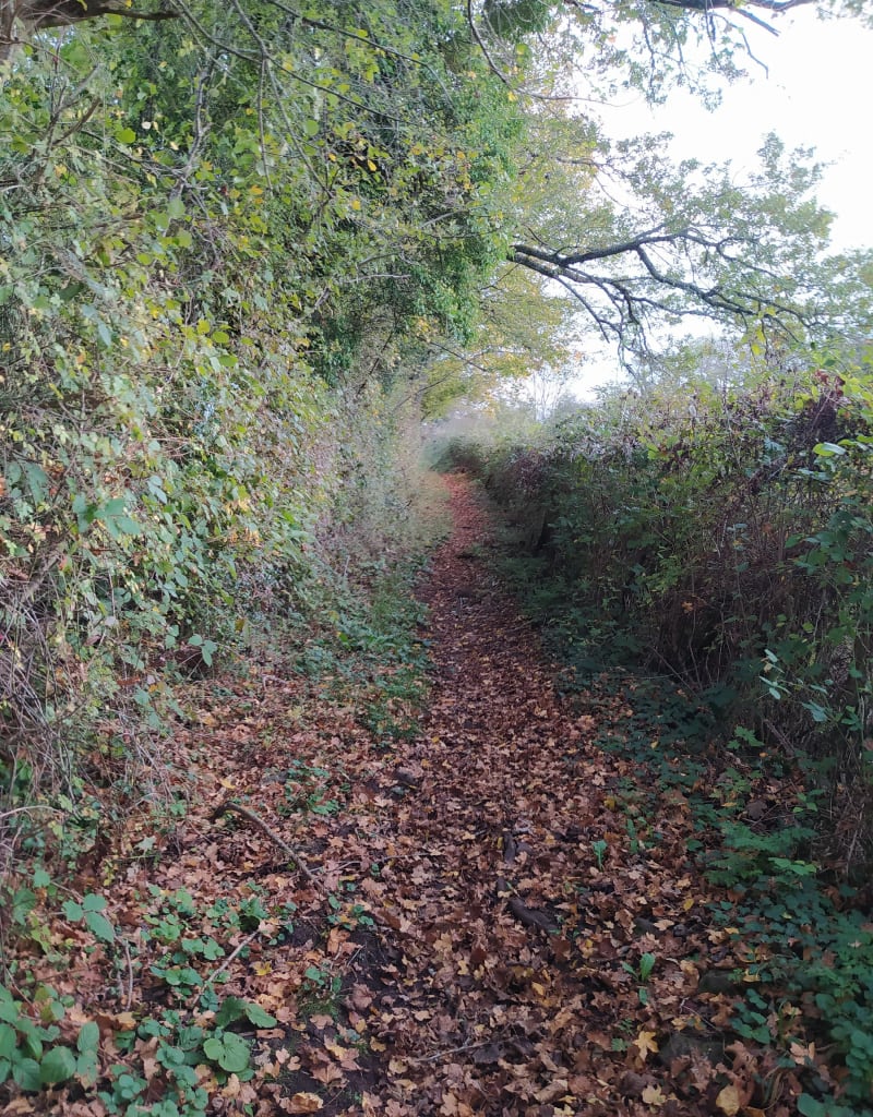 Boucle à Saint Jacques d'Ambur - Saint-Jacques-d'Ambur