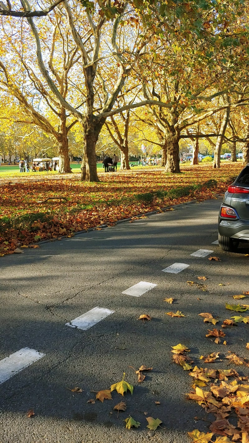 Plac Jasne Błonia Szczecin - Szczecin