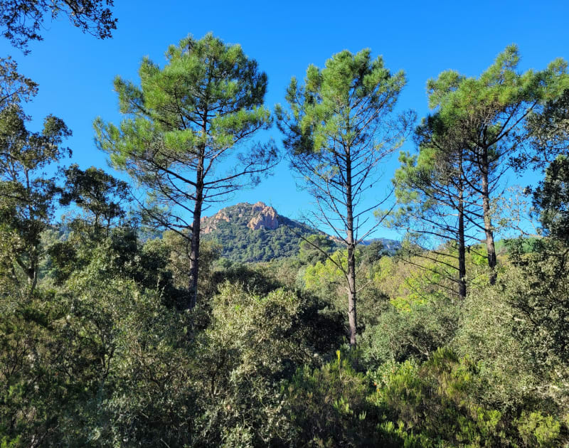 Notre Dame d'Afrique et la grotte de Gardanne depuis les Mineurs - Théoule-sur-Mer