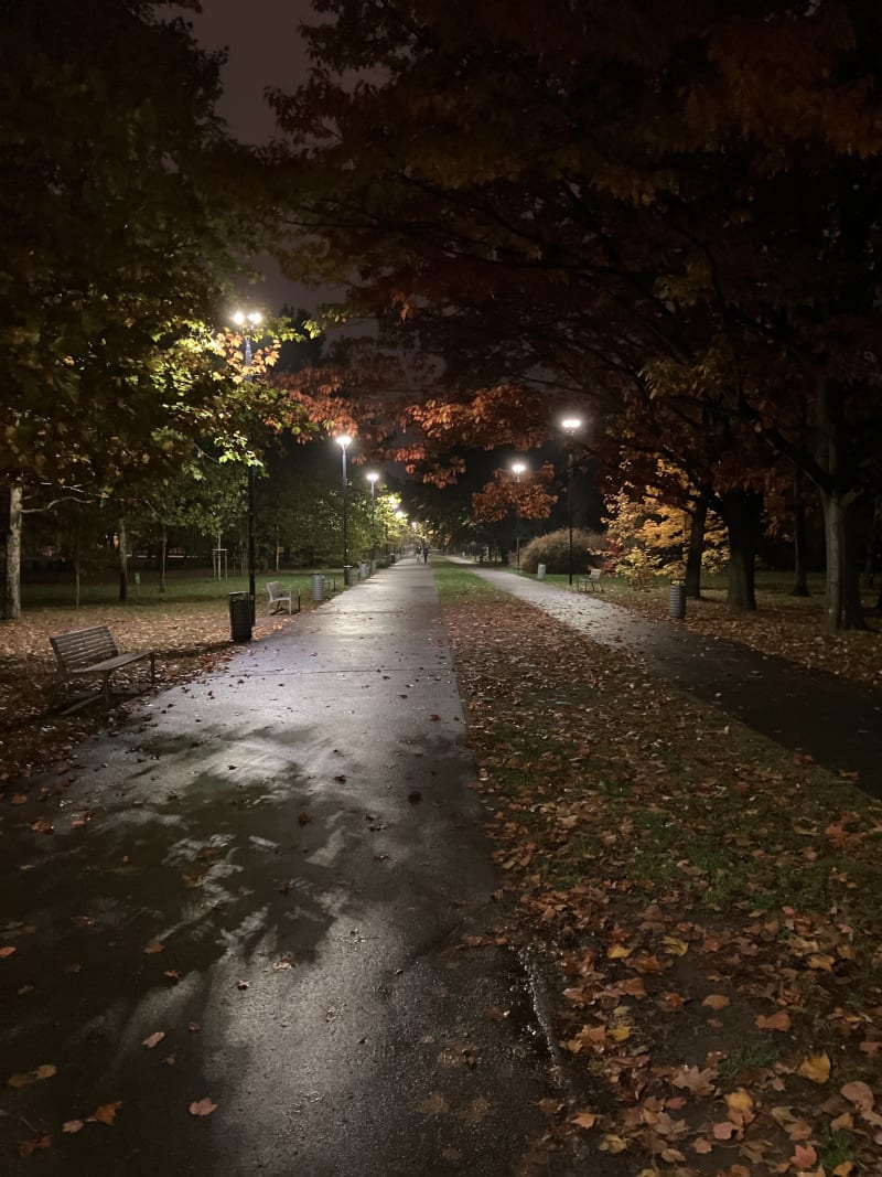 Park Bródnowski wieczorem - Warsaw